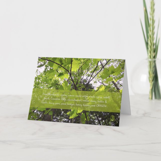 "From this humble maple“ Environmental variation Card (Front)