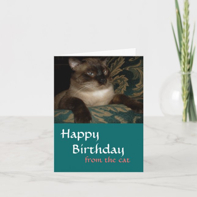 From Your Cat - Siamese Cat Birthday Card (Front)
