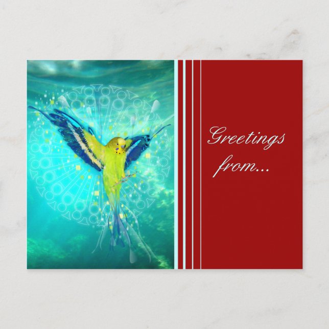 FromHeavenToEarth - Postcard (Front)