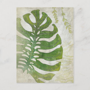 Frond III Postcard