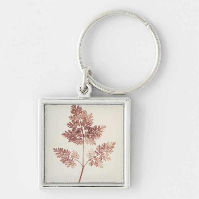 Fronds of Leaves, 1843 (b/w photo) Key Ring (Front)