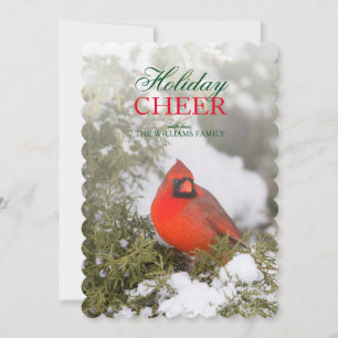 Front angle Northern Cardinal male in Juniper tree Holiday Card