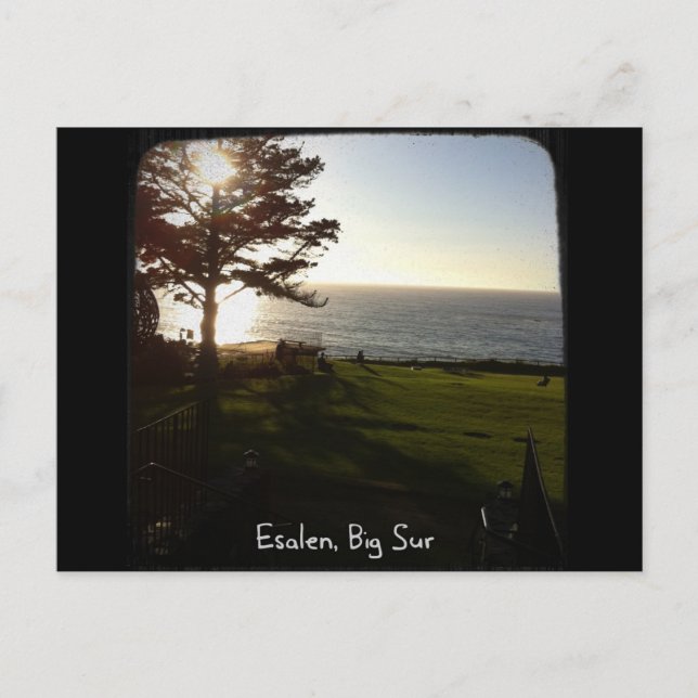 Front lawn at Esalen, Big Sur Postcard (Front)