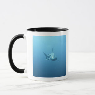 Front view of a Tiger Shark Mug