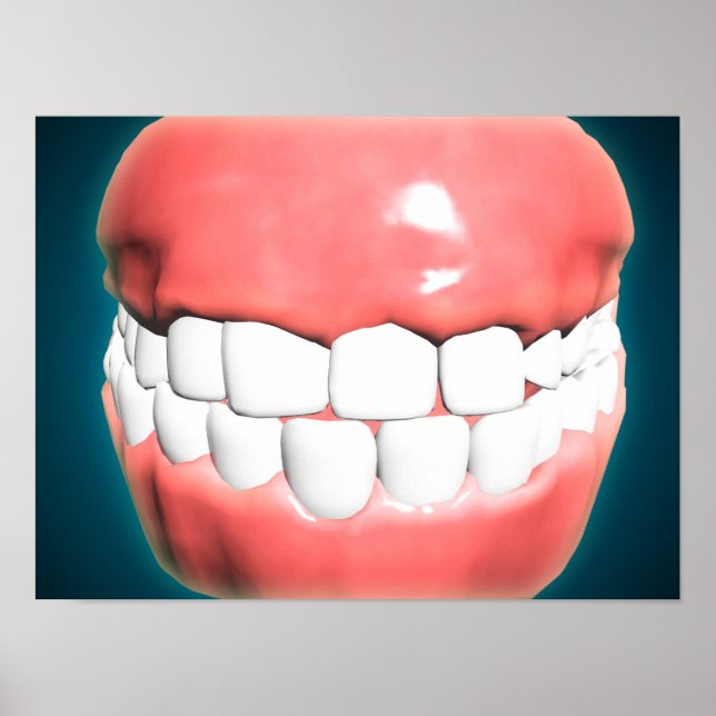 Front View Of Human Mouth With Teeth And Gums Poster (Front)