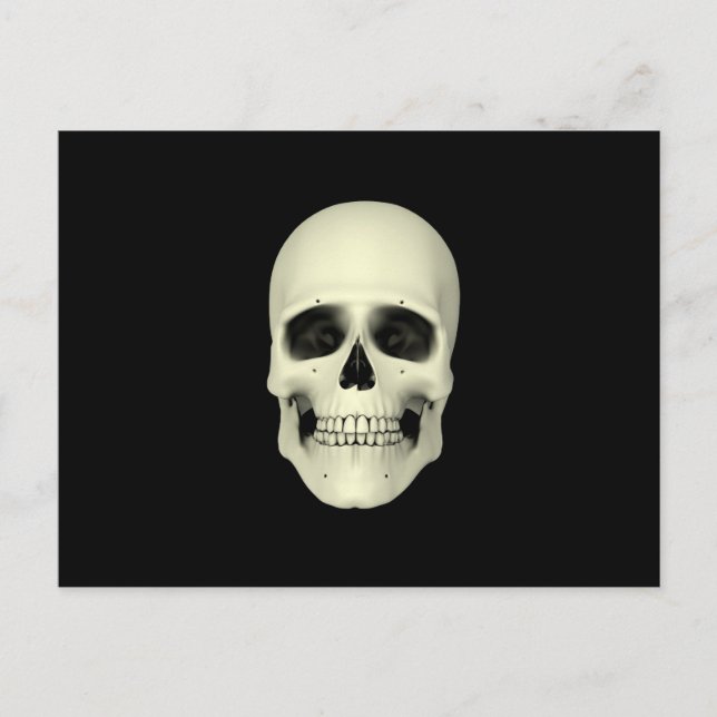 Front View Of Human Skull Postcard (Front)