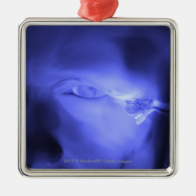 Front view of the inner ear metal tree decoration (Front)