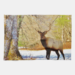 > frontal Bull elk in Snow Tea Towel