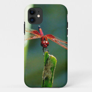 Frontal Red and Black Dragonfly Case-Mate iPhone Case