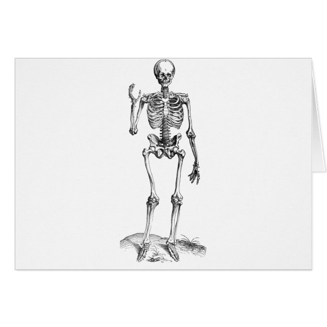 Frontal vintage drawing of a waving skeleton (Front Horizontal)