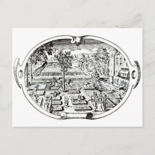 Frontispiece, from 'The Herball', by John Gerard ( Postcard