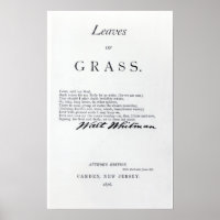 Frontispiece to 'Leaves of Grass'