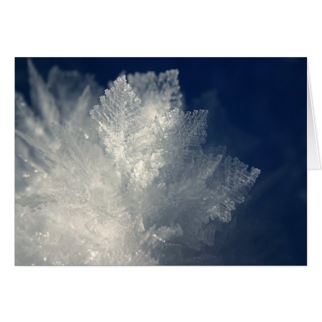 Frost (Front Horizontal)