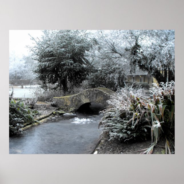 Frost and ice in a Somerset garden Poster (Front)