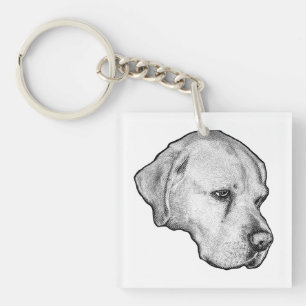 Frost-clear expression key ring