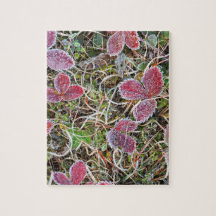 Frost covered leaves, Canada Jigsaw Puzzle