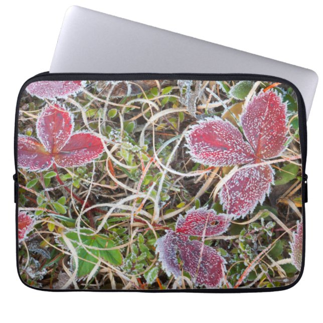 Frost covered leaves, Canada Laptop Sleeve (Front)