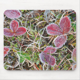 Frost covered leaves, Canada Mouse Pad