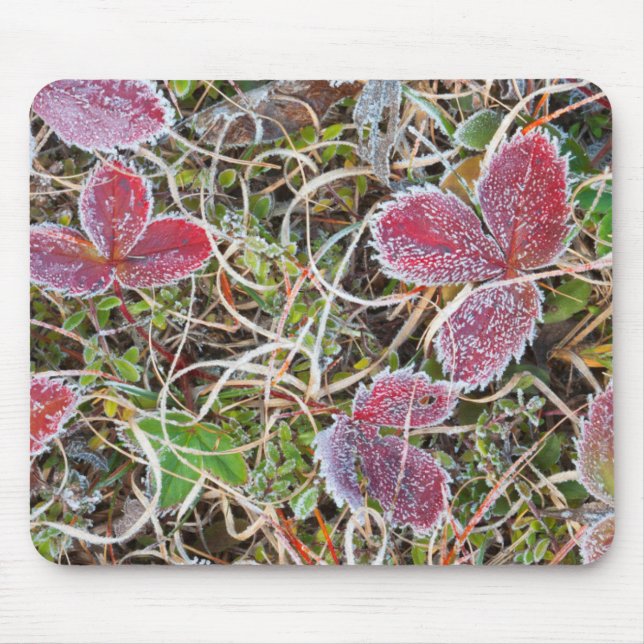 Frost covered leaves, Canada Mouse Pad (Front)