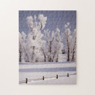 Frost Covered Trees and Fence, Colorado Jigsaw Puzzle