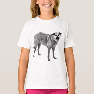 frost-edge poise, tibetan mix T-Shirt