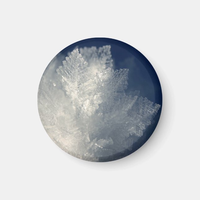 Frost Magnet (Front)