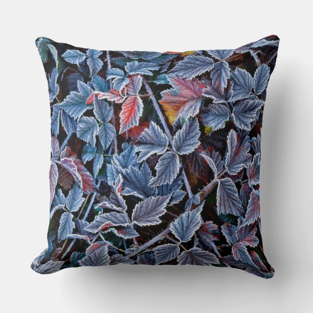 Frost on autumn leaves, Oregon Cushion (Front)