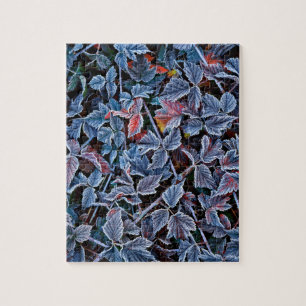 Frost on autumn leaves, Oregon Jigsaw Puzzle