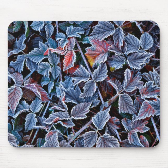 Frost on autumn leaves, Oregon Mouse Pad (Front)