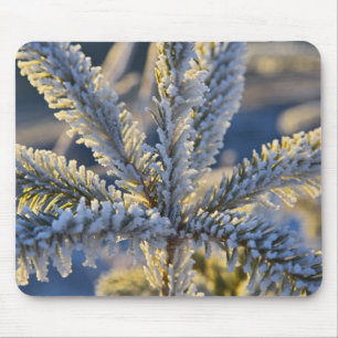 Frost on evergreen tree, Homer, Alaska Mouse Pad