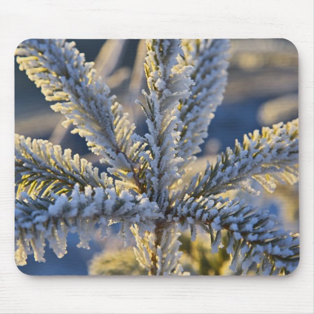 Frost on evergreen tree, Homer, Alaska Mouse Pad (Front)