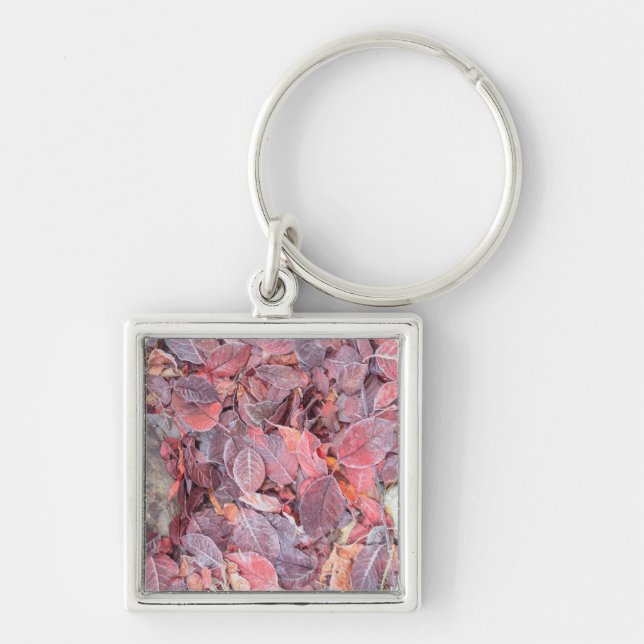 Frost on fallen leaves, Fall colours, Mill Creek Key Ring (Front)