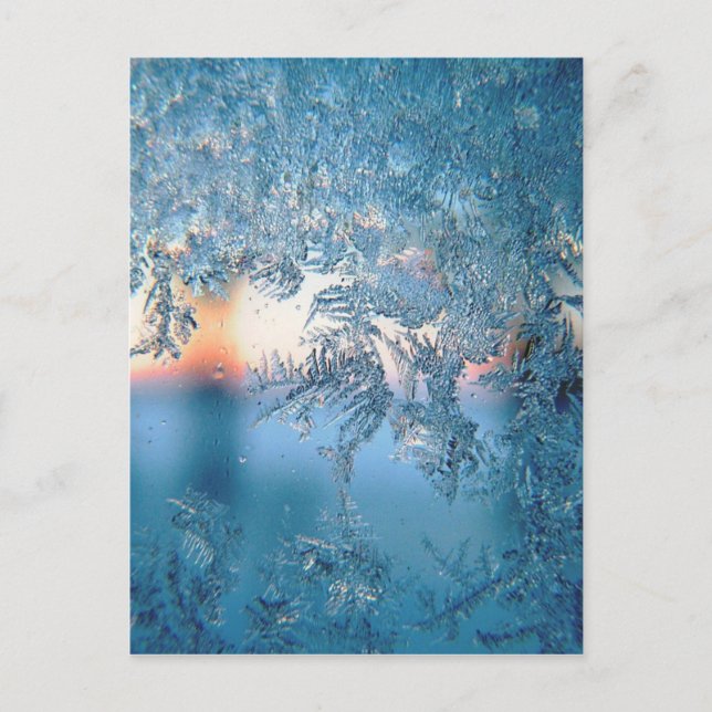 Frost On Glass Postcard (Front)
