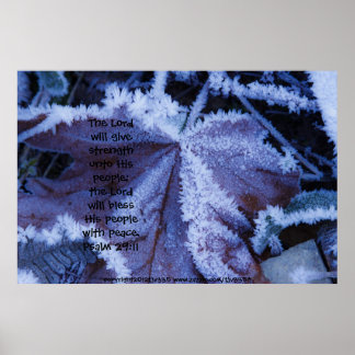 Frost on Leaf 2 Print w/Scripture Verse
