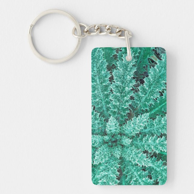 Frost On Thistle, Olympic National Park Key Ring (Front)