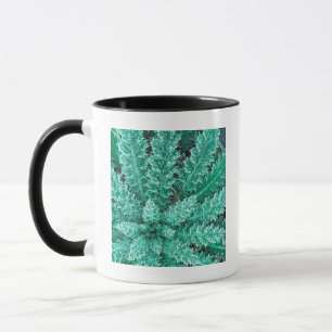 Frost On Thistle, Olympic National Park Mug