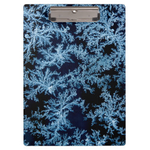 Frost patterns close-up, California Clipboard