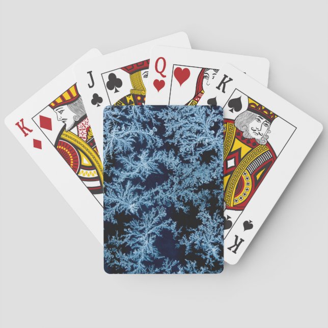 Frost patterns close-up, California Playing Cards (Back)