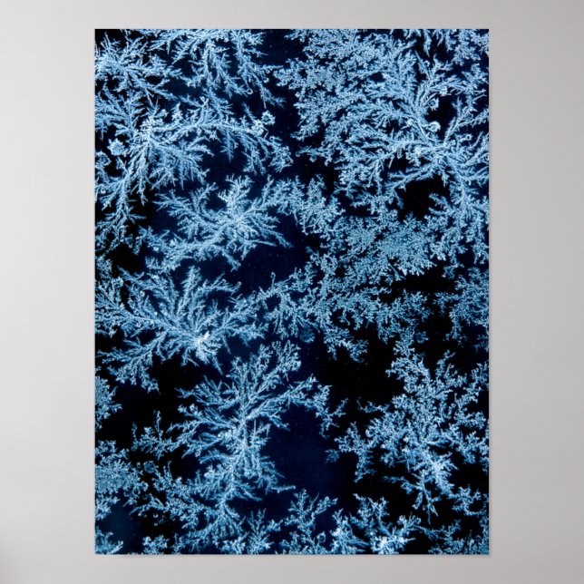 Frost patterns close-up, California Poster (Front)