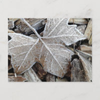 Frost