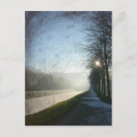 Frost