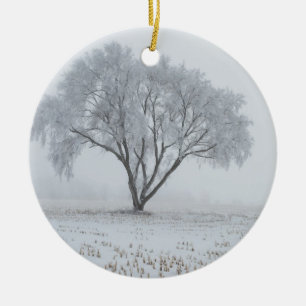 Frost Upon a Lonely Tree Ceramic Tree Decoration
