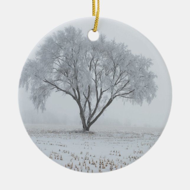 Frost Upon a Lonely Tree Ceramic Tree Decoration (Front)