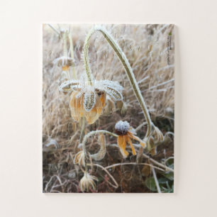 Frost Wilted Rudbeckia Flowers Photograph Jigsaw Puzzle