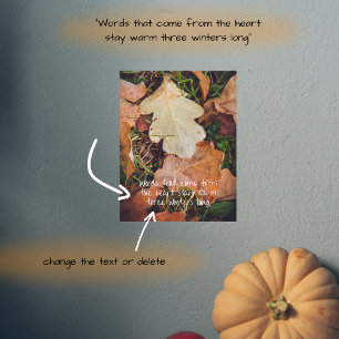 Frosted autumn oak leaves poster