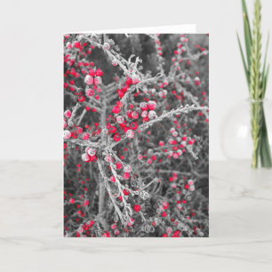 Frosted Berries Card