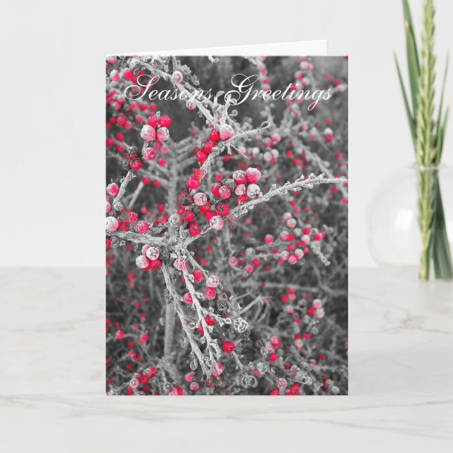 Frosted Berries Christmas Card (Front)