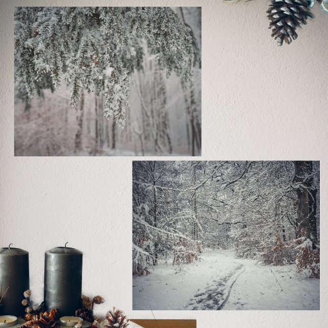 Frosted branches and a snow-covered forest (Creator Uploaded)
