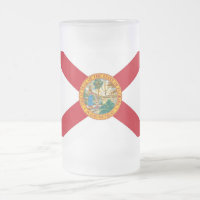 Frosted Glass Mug with flag of Florida, USA