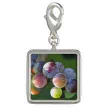 Frosted Grapes on the Vine Purse Charm